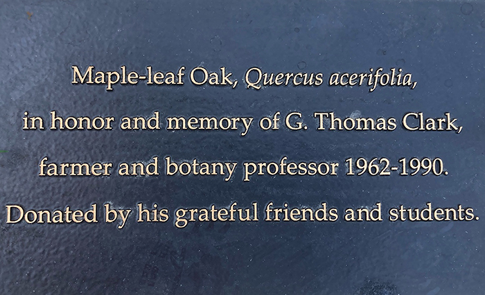 /uploadedimages/News/News_Releases/Maple-leaf oak plaque_web.jpg